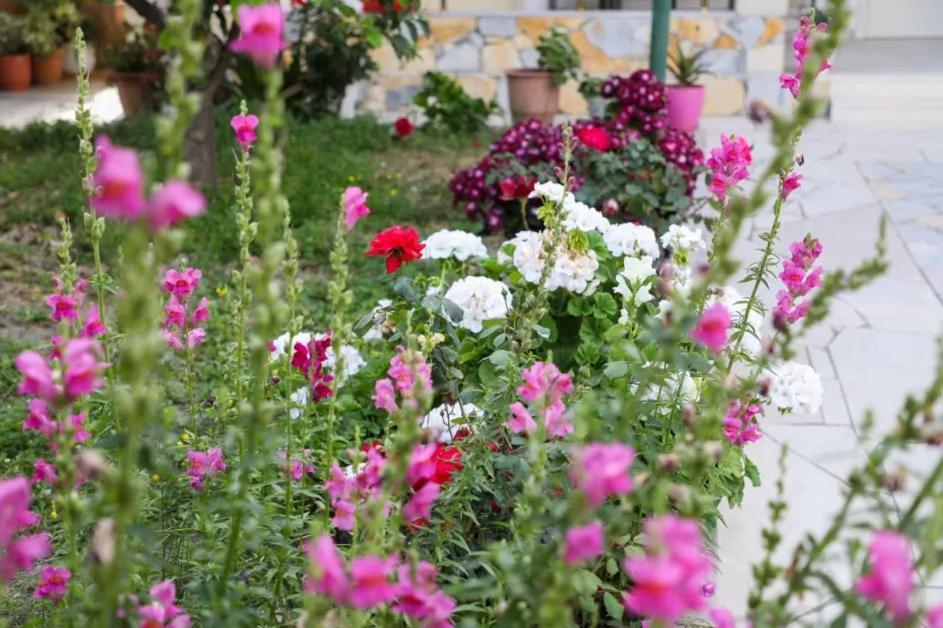 Vila Agolli Vlorë Esterno foto